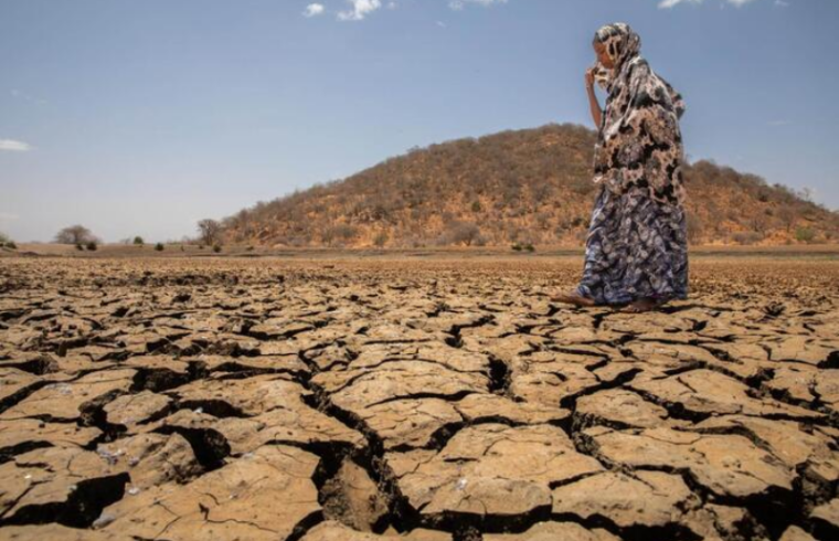 a rise in droughts due to global warming is expected in the horn of africa