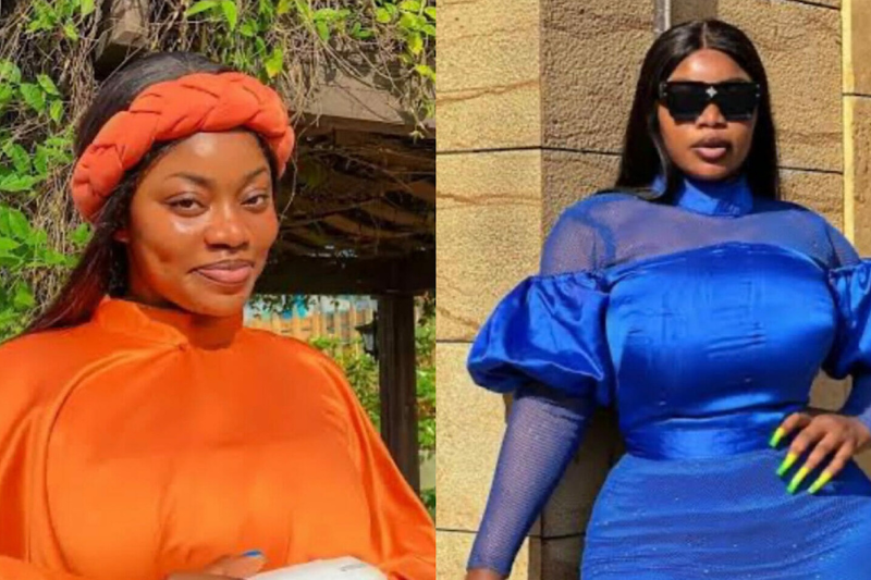 ashmusy earns n5m to 65m monthly, how did she get rich