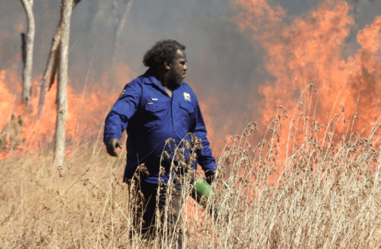 south african farmers losses over 1 billion rand due to wildfires