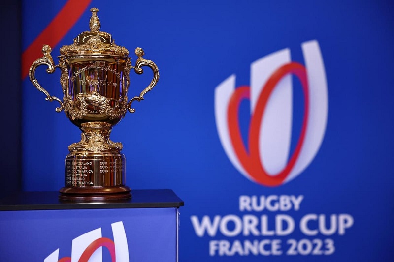 emedia challenges multichoice, supersport over rugby world cup