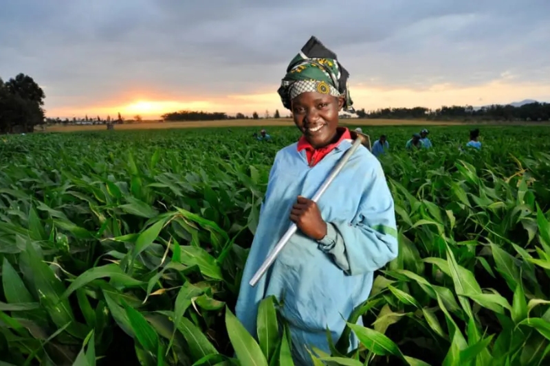 afcs vision pioneering africas green revolution