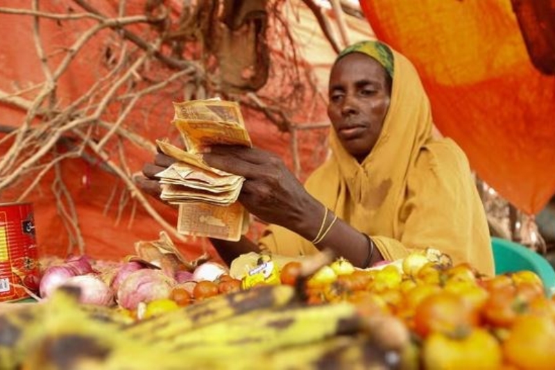 somalias debt reduction a decade long effort bears fruit with 4 5 billion relief