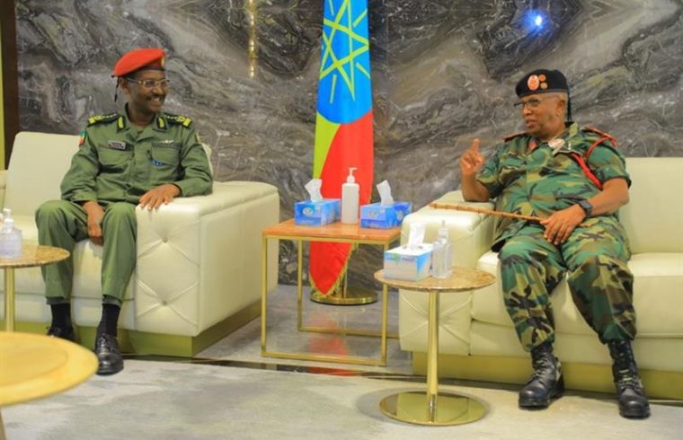 ethiopia somaliland military cooperation raises horn of africa tensions