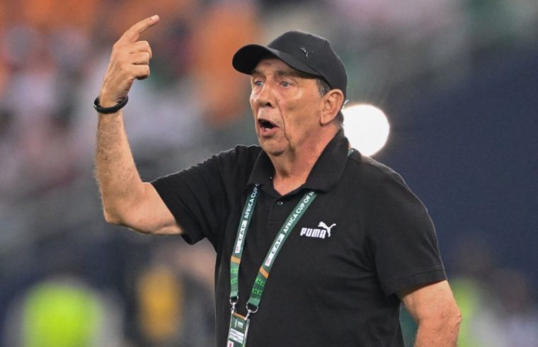 ivory coast fires coach jean louis gasset