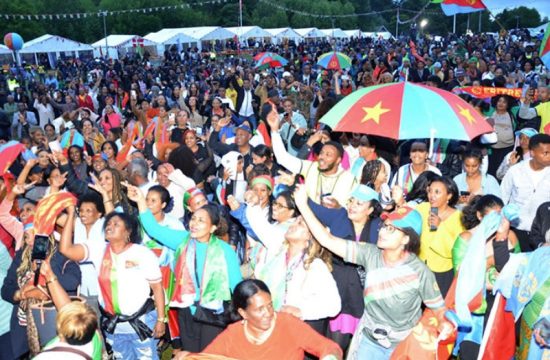 tensions surround eritrean cultural festival amid diaspora strife (2)