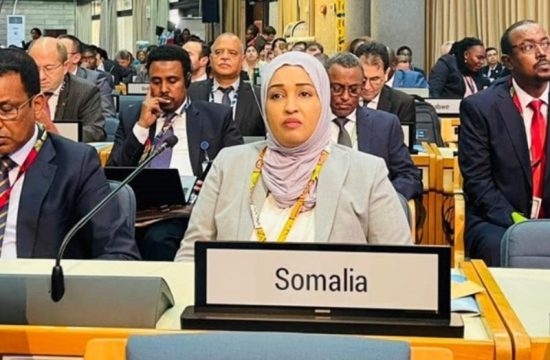 somali president attends unea 6 commitment to global environmental resilience