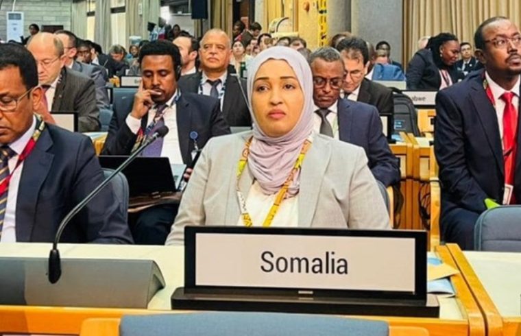 somali president attends unea 6 commitment to global environmental resilience