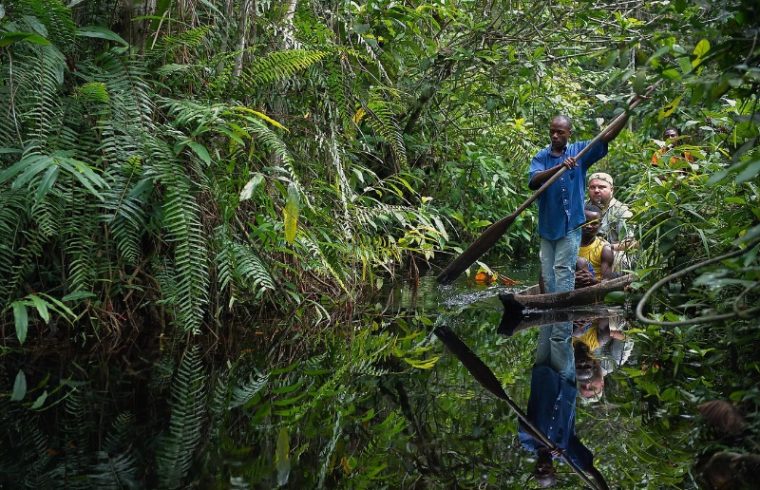 top 10 most dangerous forests in the world