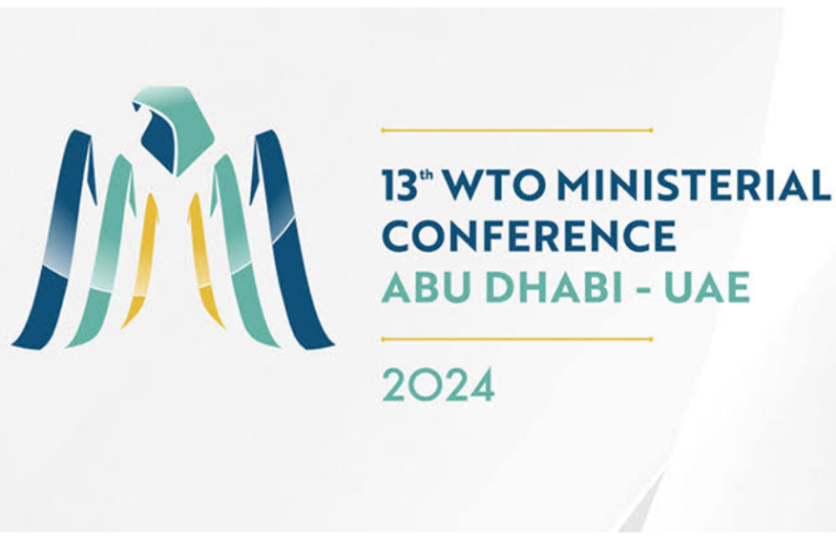 wto ministerial conference 2024 in abu dhabi shaping the future of global trade