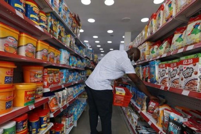 driving economic progress uaes investments and initiatives in africa