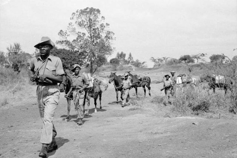 the colonial legacy mount kenyas alcohol crisis examined