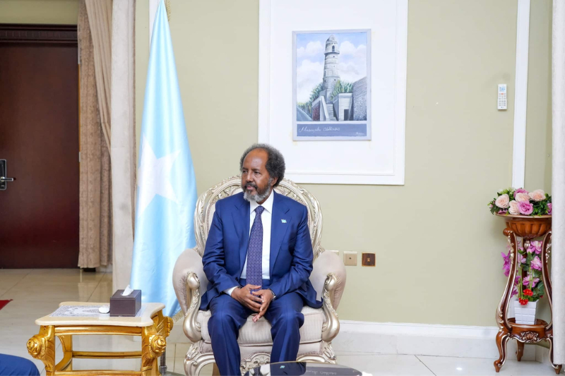 navigating constitutional changes somalias presidential authority shift