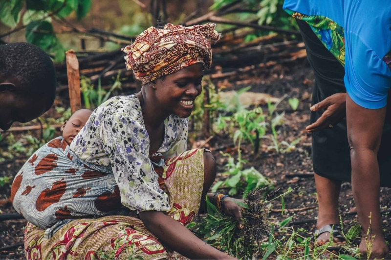 ancient cultural diversity in central africa outwebs agricultural influence