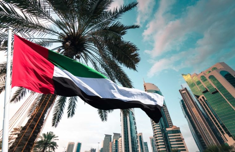 foreign direct investment from uae into africa sets a new record