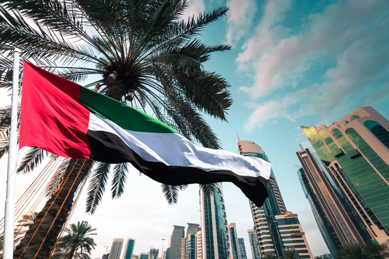 foreign direct investment from uae into africa sets a new record