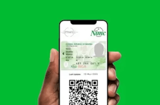 how to check my nimc details online