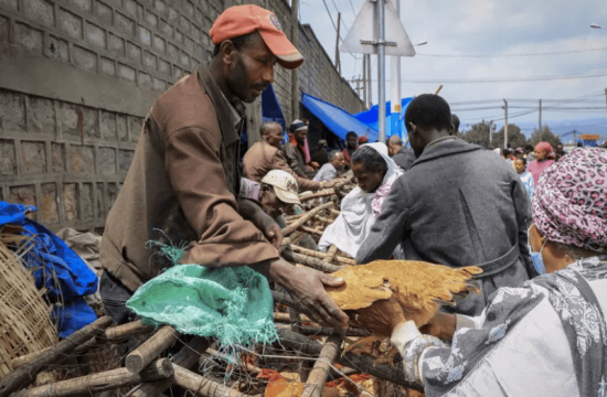 prices fall in ethiopia in the face of a flexible exchange rate