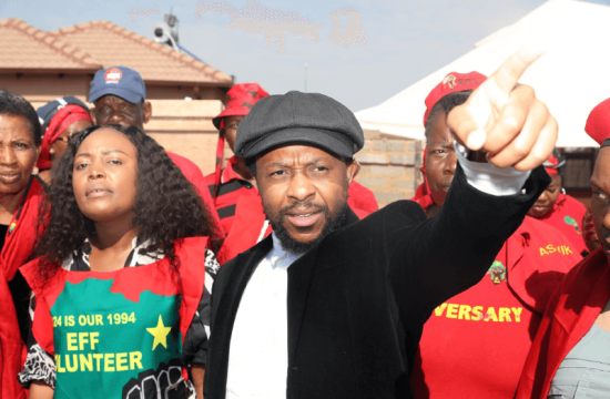 Mbuyiseni Ndlozi and Yazini Tetyana Quit EFF in Parliament, Sparking Speculation