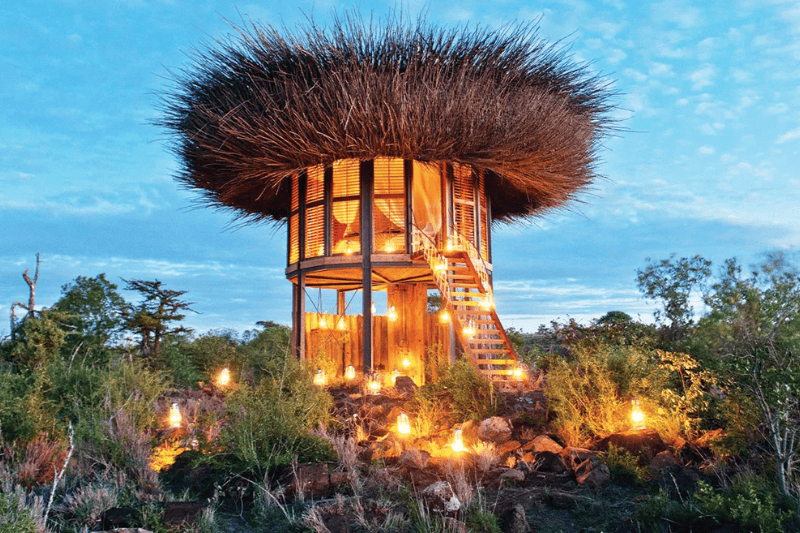 top safari lodges in africa with stunning wildlife views