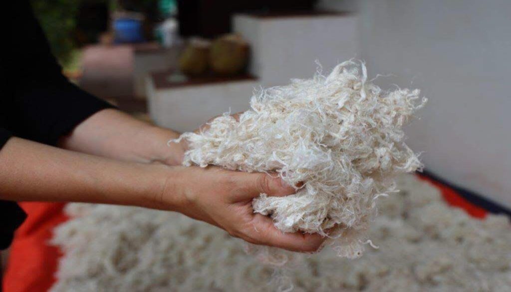 bio-fabricated fabrics