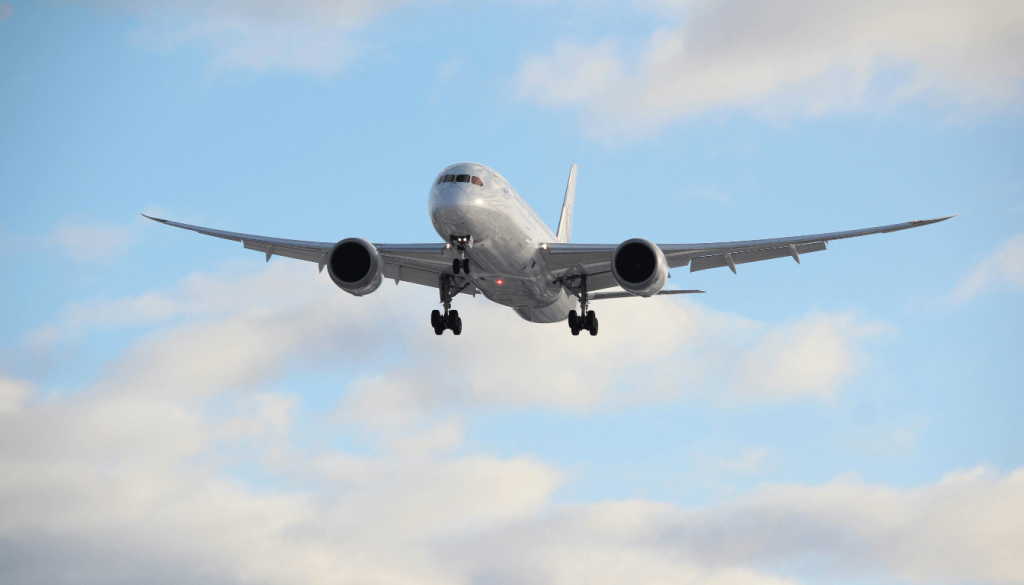 Budget Local Airlines