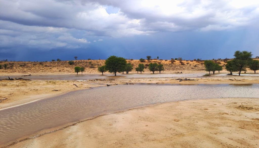 best time to visit Kgalagadi Transfrontier Park