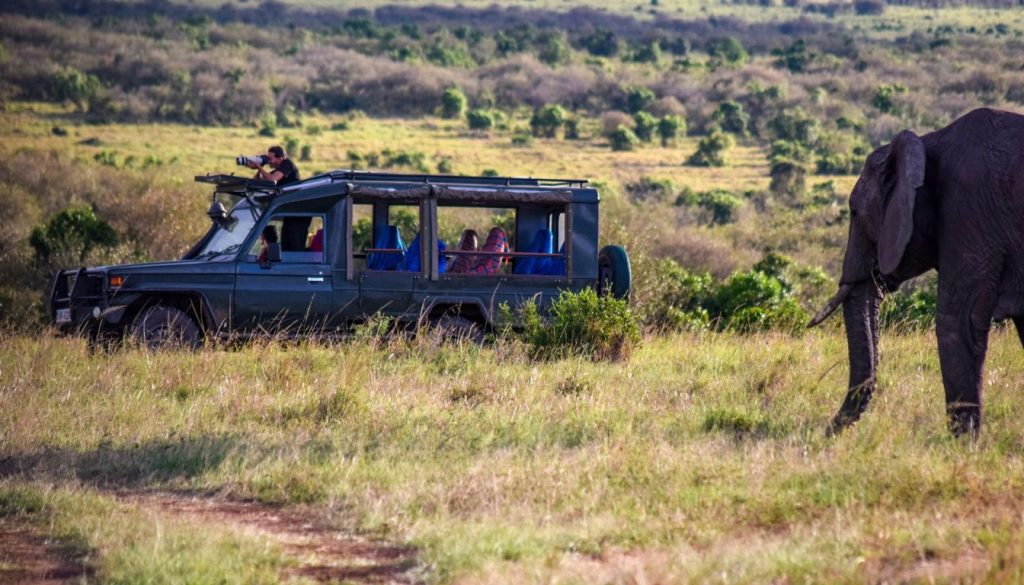 Safari tourism in Africa