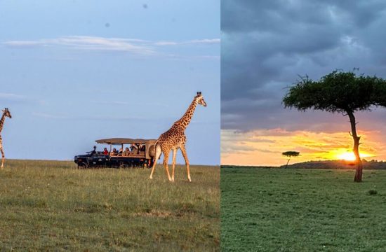 masai mara eco safaris