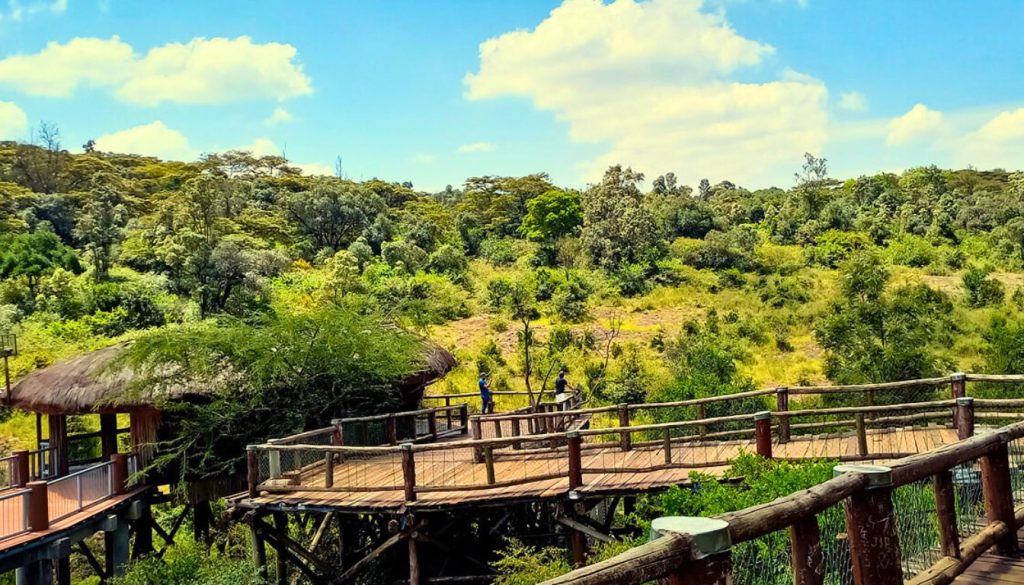 Nairobi Safari Walk