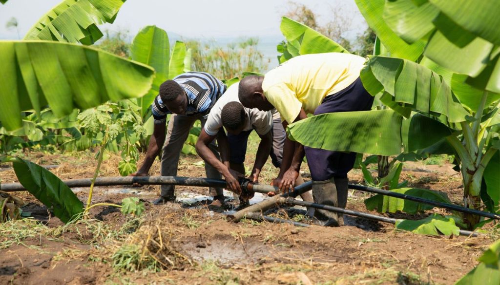 conservation agriculture Africa