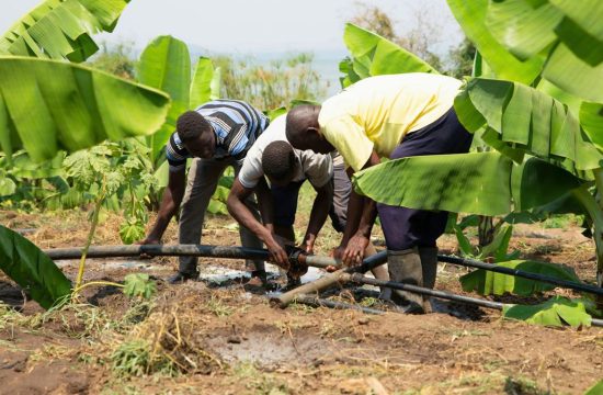 conservation agriculture Africa