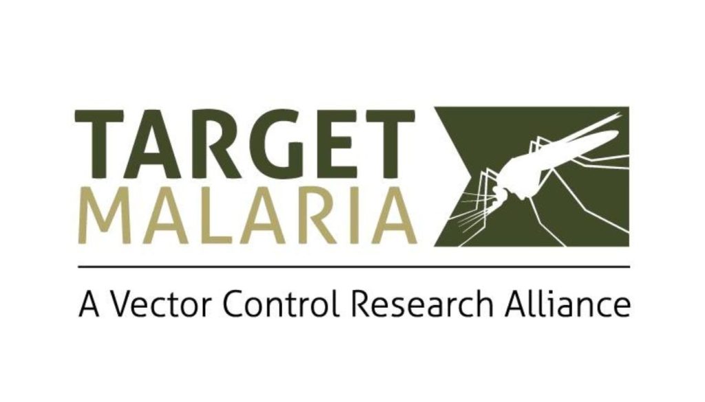 Burkina Faso Halts Target Malaria GM Mosquito Trials
