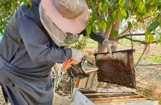 beekeeping project Moyale Kenya
