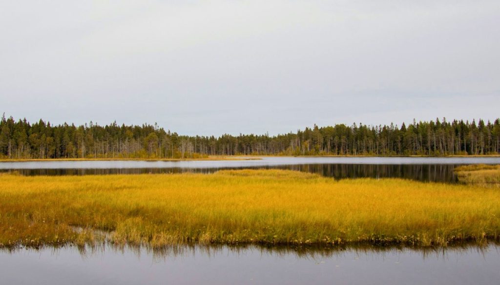 Vallée du Niari Ramsar Site