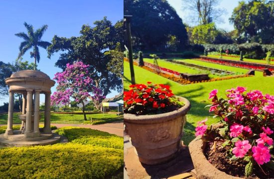 free things to do Johannesburg Durban