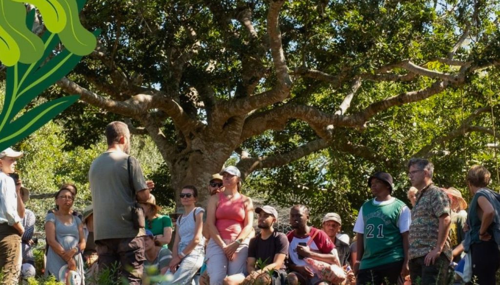 Reforest Fest 2026 Western Cape survival guide