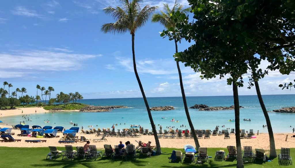 Palm Beach Resort & Spa Prices
