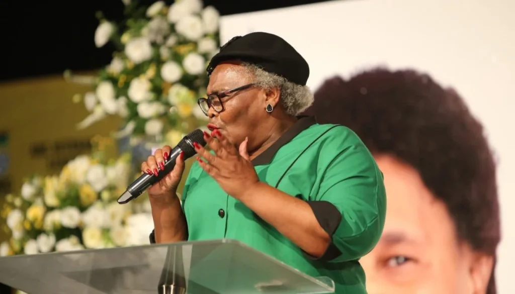 Sisisi Tolashe nanny scandal South Africa