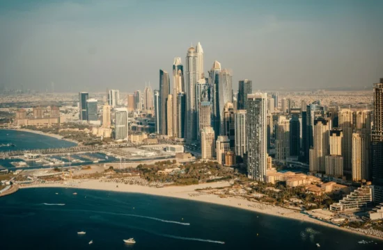 UAE business verification