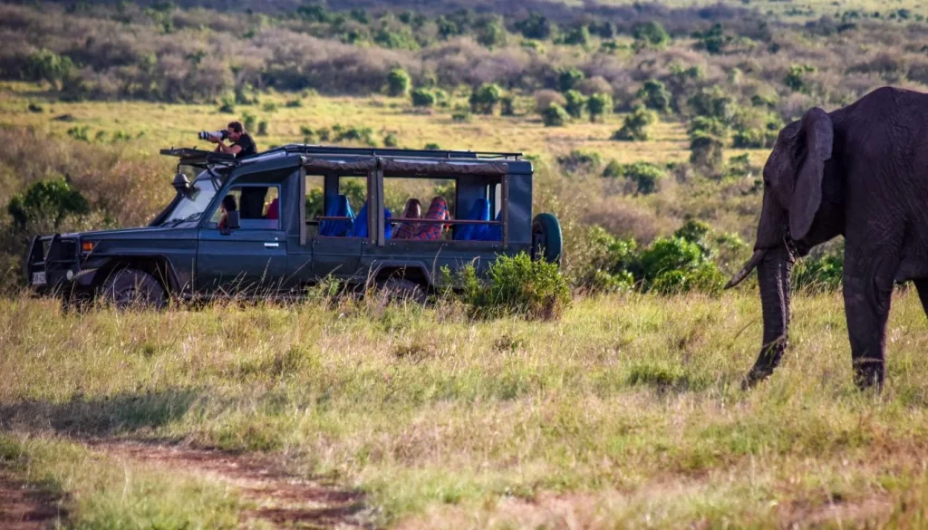 budget safari in East Africa