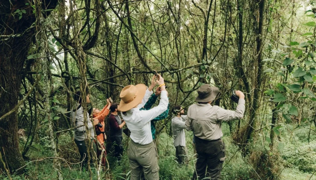 Explore Uganda campaign
