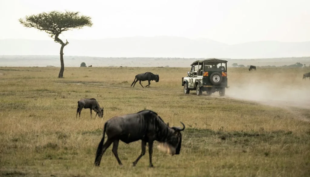 Visit Rwanda vs Visit Kenya 2026