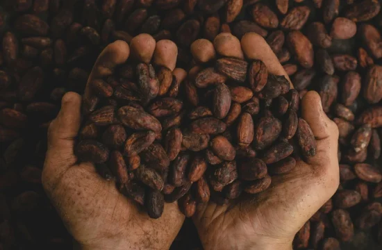 Cocoa Alliance Ghana and Côte d'Ivoire