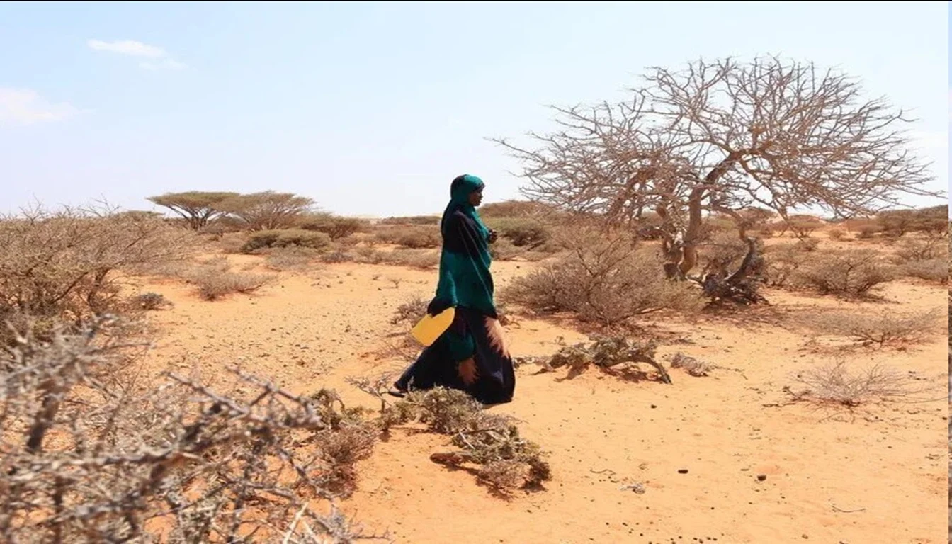 Africa Could Face a $20 Billion Economic Hit From ‘Super' El Niño