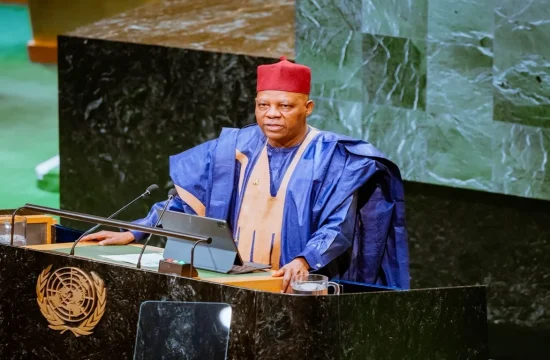 Africa Demands Permanent UN