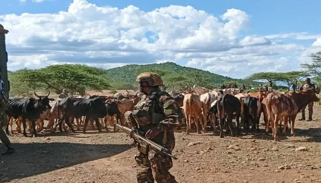 Kenya Ambush Kills 5, Including 3 Security Personnel