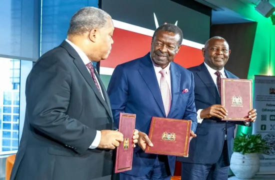 Kenya Launches New Diaspora Investment Platform