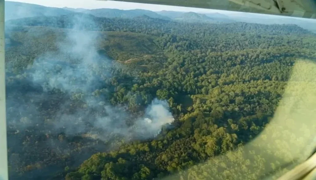 Mount Kenya Wildfire