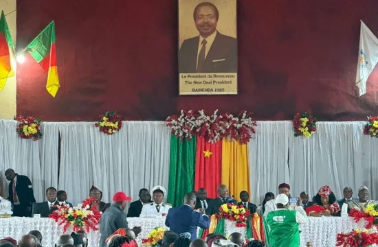 Cameroon government reshuffle