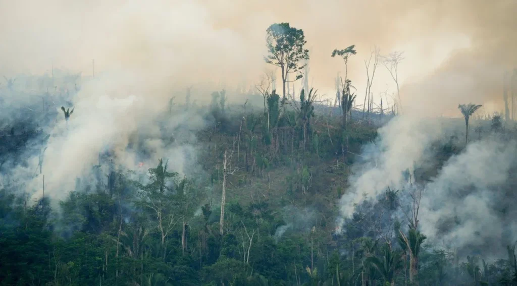 Crisis-Hit Wildlife: Nature Can Recover 2026